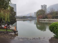 -凤池园
