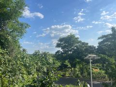 -桃源山庄·水蜜桃采摘·柴火鸡·烧烤团建(龙泉山店)