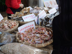 -鼎龙湾欢乐海岸