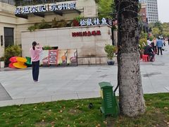 -吴越荣记苏州菜·松鼠桂鱼 100% 活鱼现做(月光码头店)