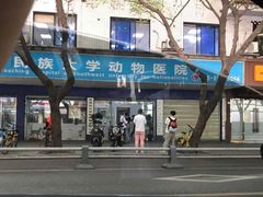-成都民大动物医院