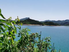 -望湖烤鱼