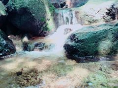 -白草畔自然风景区