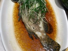 清蒸石斑-陶陶居酒家(海岸城店)