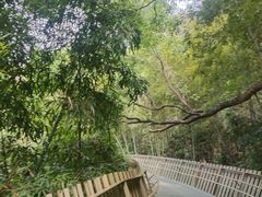 -福道