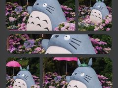 -上海滨江森林公园