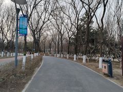 -大兴滨河森林公园