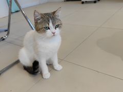 -怪兽屋·羊驼·猫咖·狗咖(俊华广场店)