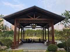 -后襄河公园