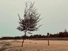 -白沙门生态公园