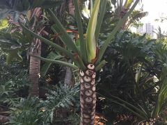 -白沙门生态公园