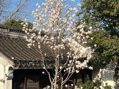 -松鹤楼(山塘街店)