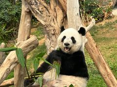 -香港海洋公园