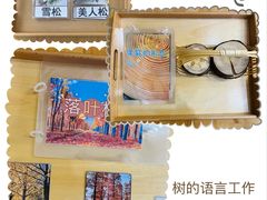 -婴智贝佳蒙特梭利早教托育中心(杨浦店)