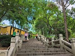 -灵岩山风景区