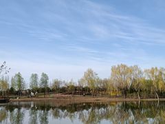 -东郊湿地公园