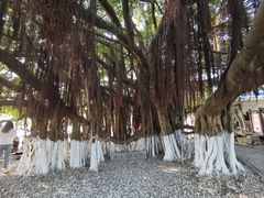 -胡里山炮台