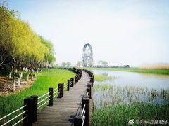 -太湖湖滨国家湿地公园-停车场