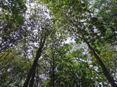 -火炉山森林公园