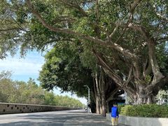 -宝安西湾红树林湿地公园