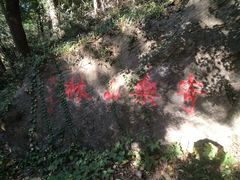 -镇江市南山风景名胜区竹林景区