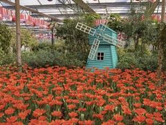 -南宫五洲植物乐园