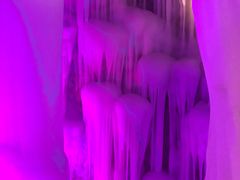 -芦芽山旅游度假区