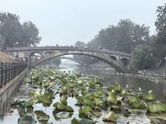 -赵州桥景区