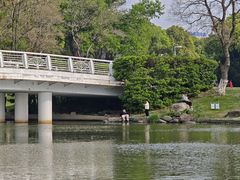 -九里河湿地公园