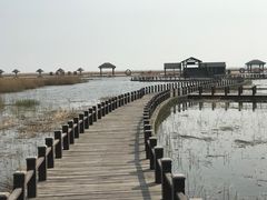 -南大港湿地风景区