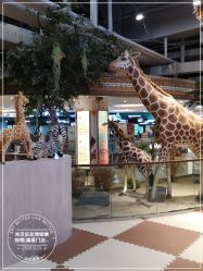 -鲁比猴非洲探索部落(喜盈门店)