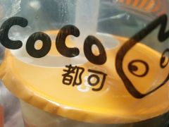 珍珠奶茶-CoCo都可(常德路店)