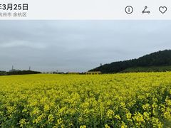 -径山花海