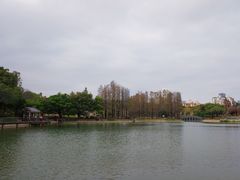 -四海公园(南山区)