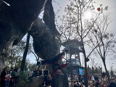 -中国翰园碑林