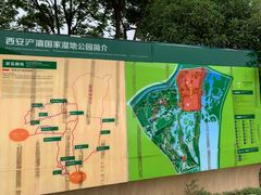 -西安浐灞国家湿地公园