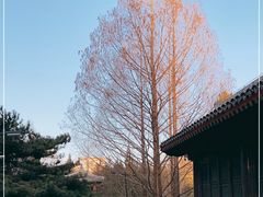 -元大都城垣遗址公园