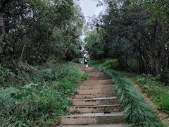 -杭州半山国家森林公园