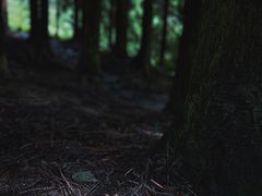 -龙窝子