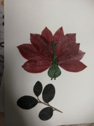 -太郎花子婚纱摄影艺术中心