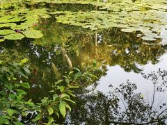 -海南热带野生动植物园