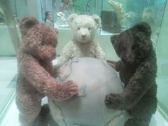 android_upload_pic-济州岛泰迪熊博物馆