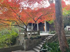 -宋宴(虎跑店)