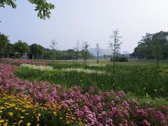 -昆山城市生态森林公园