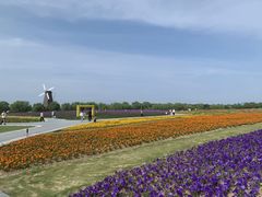 -漩门湾国家湿地公园