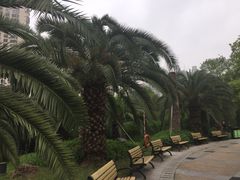 -苏州河梦清园环保主题公园