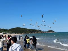 -崂山仰口游览区