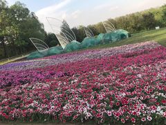 -沈阳植物园