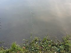 -南翔镇银翔湖公园