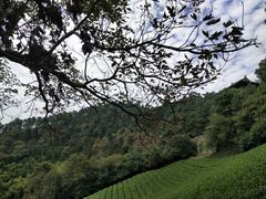 -敬亭山风景名胜区